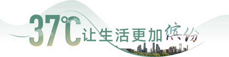 6.png 6.png