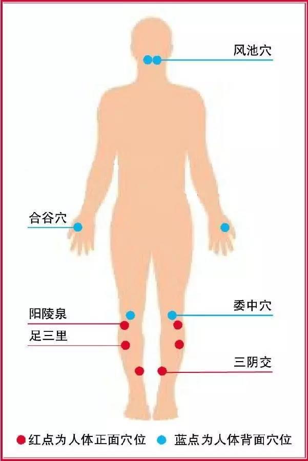 春末夏初,常按5大穴位“身体不拥堵”!