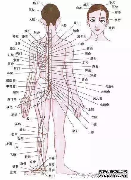 多少岁出现白发才算正常?