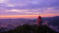 绿肺之殇：观音山毁林背后的多方博弈与