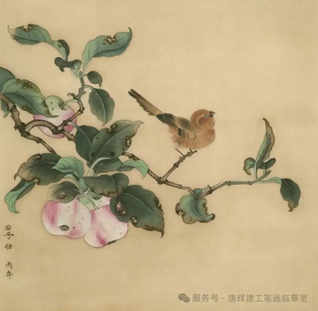 文章配图-21